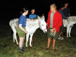 Burro racing at Harlan